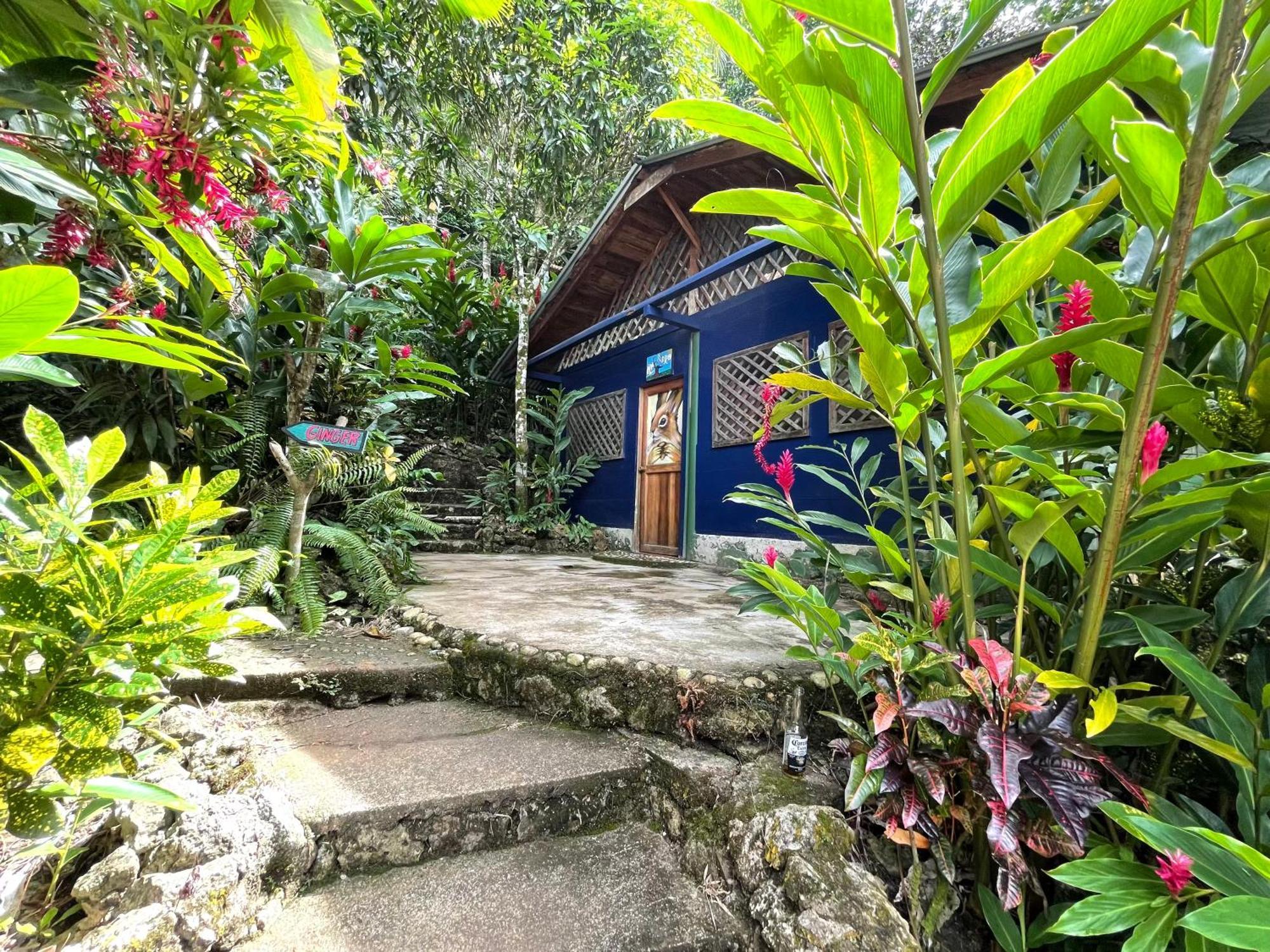 Palmeras Del Rio Hotel La Vina Εξωτερικό φωτογραφία