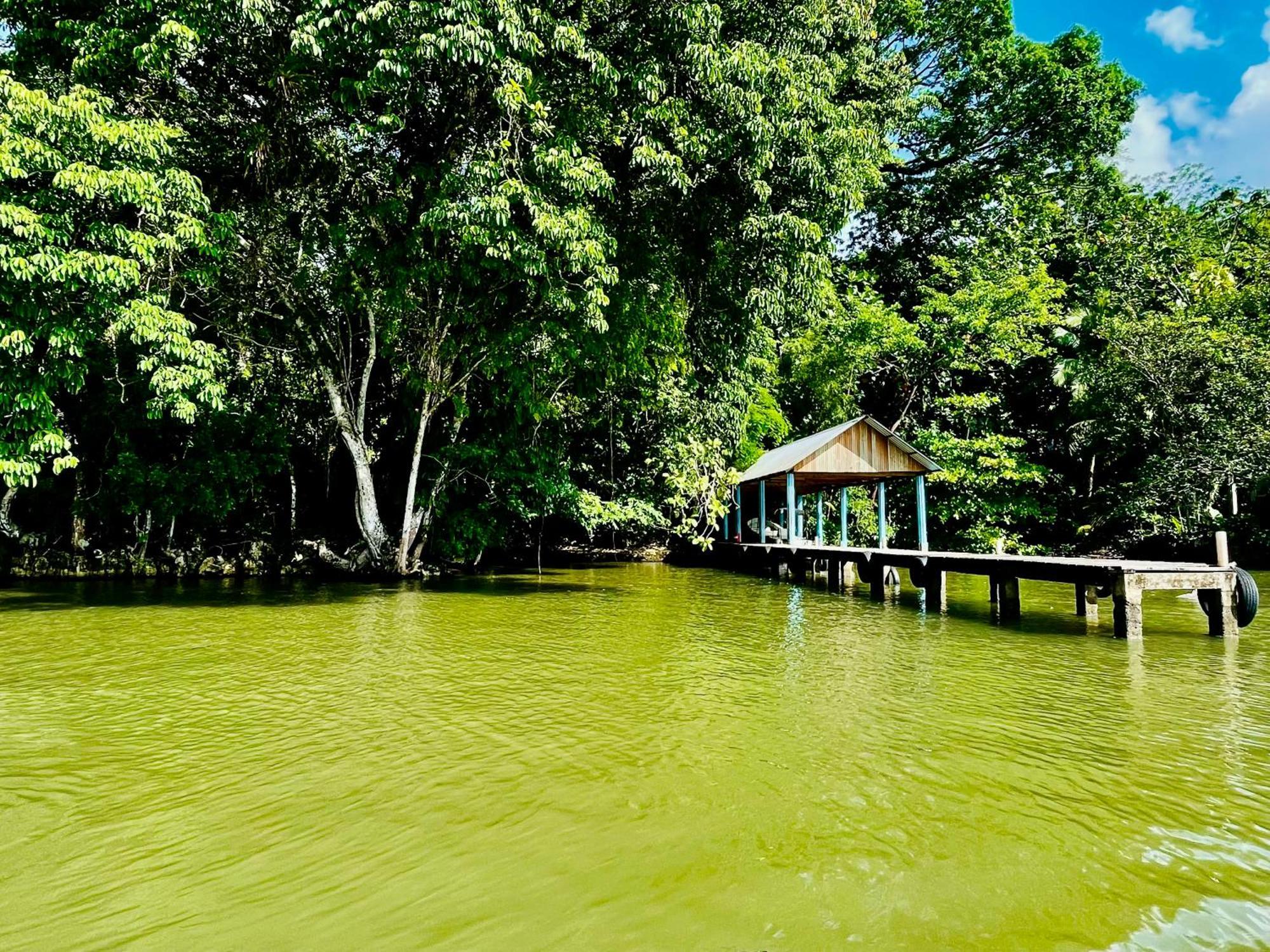 Palmeras Del Rio Hotel La Vina Εξωτερικό φωτογραφία