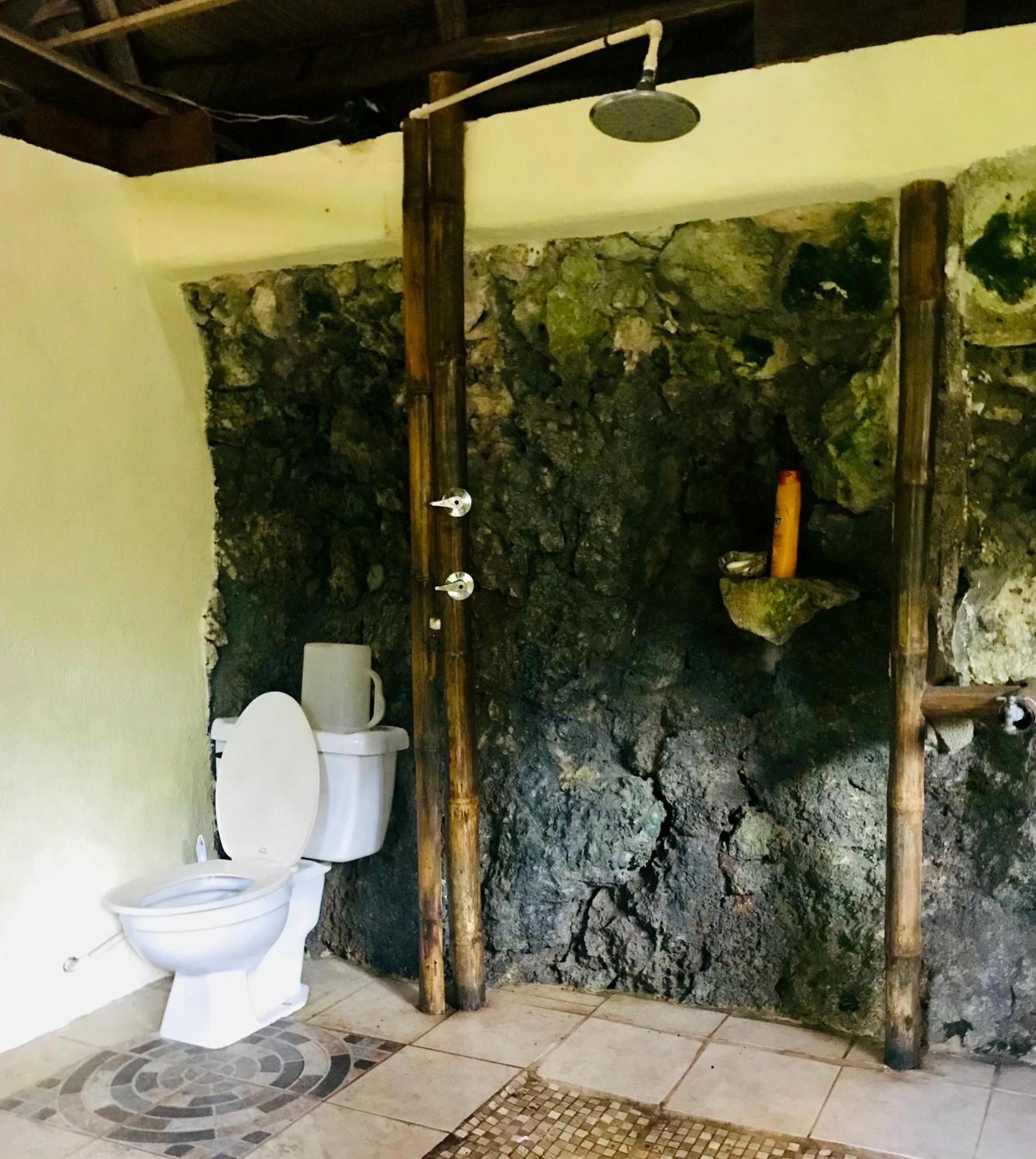Palmeras Del Rio Hotel La Vina Εξωτερικό φωτογραφία