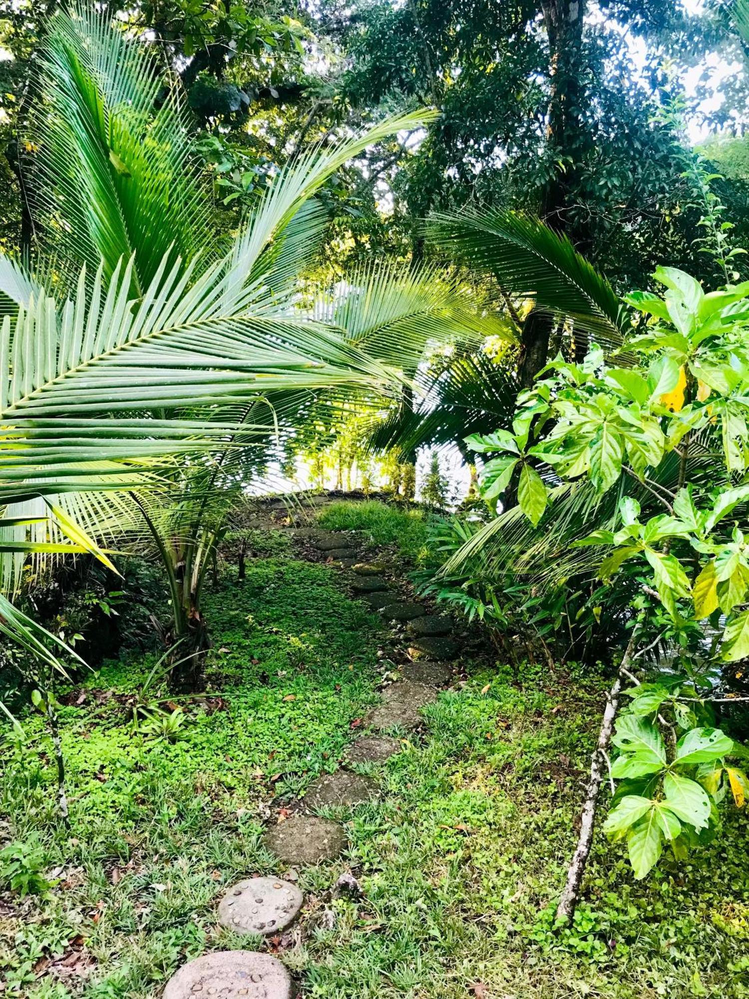Palmeras Del Rio Hotel La Vina Εξωτερικό φωτογραφία