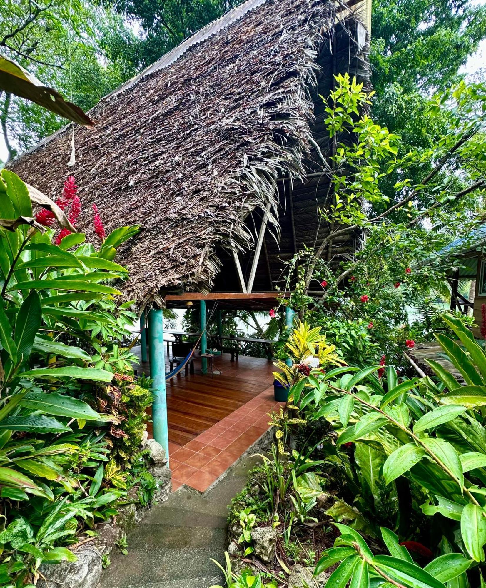 Palmeras Del Rio Hotel La Vina Εξωτερικό φωτογραφία