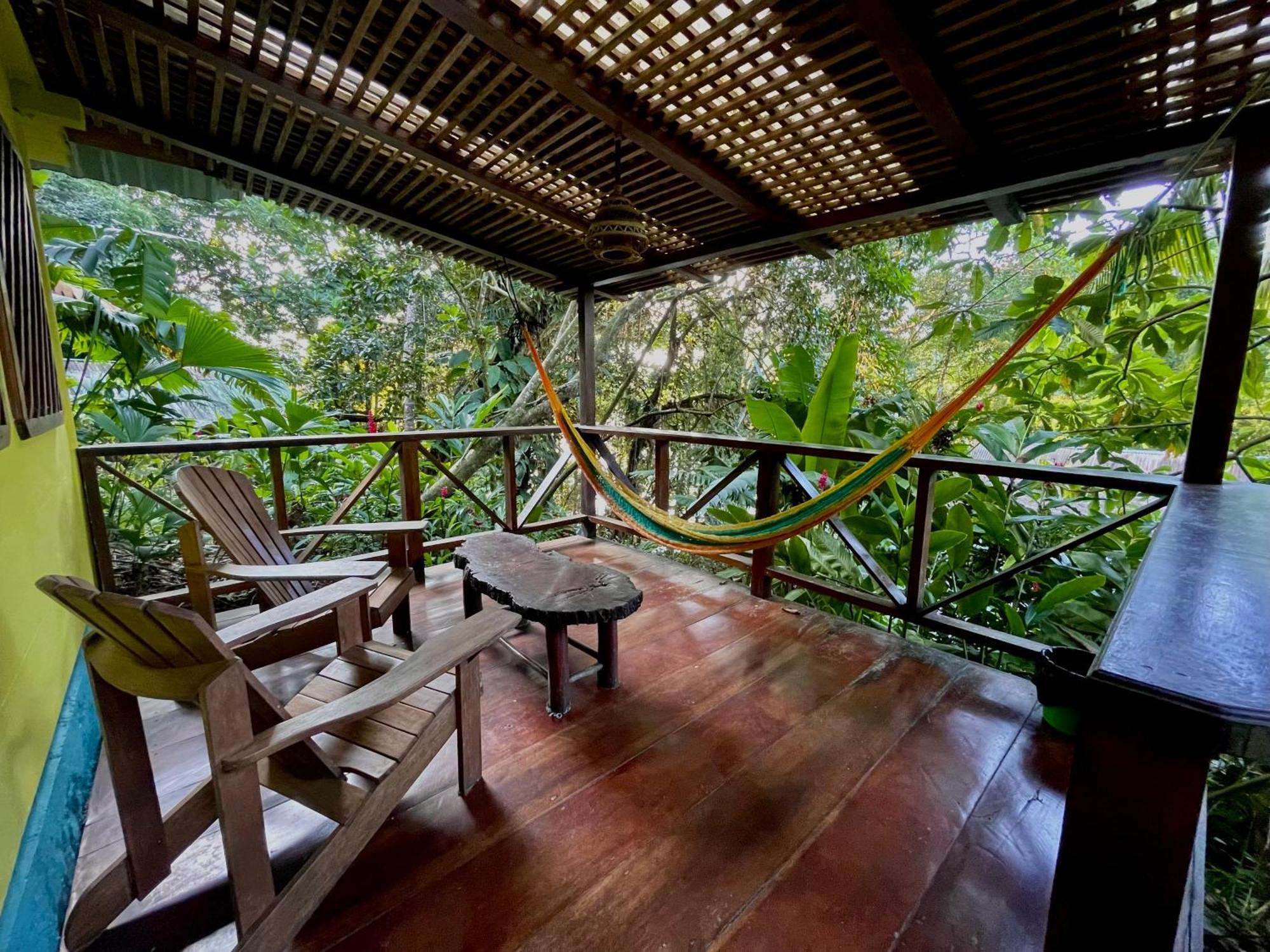Palmeras Del Rio Hotel La Vina Εξωτερικό φωτογραφία